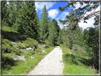 foto Dal Passo Vezzena al Pizzo di Levico